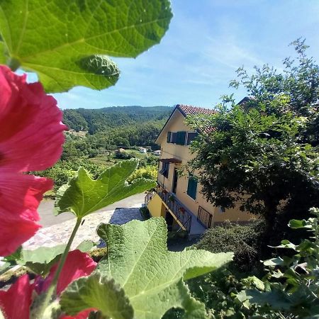 La Valle Fiorita Soviore Extérieur photo