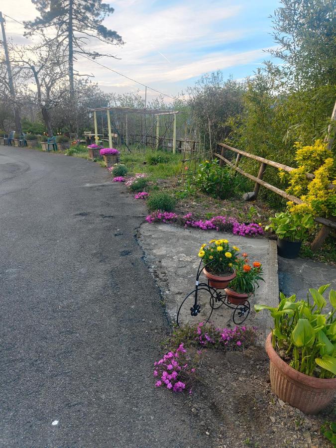 La Valle Fiorita Soviore Extérieur photo