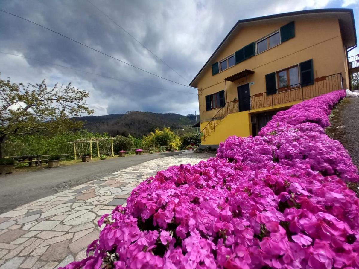 La Valle Fiorita Soviore Extérieur photo
