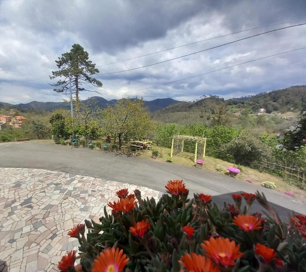La Valle Fiorita Soviore Extérieur photo