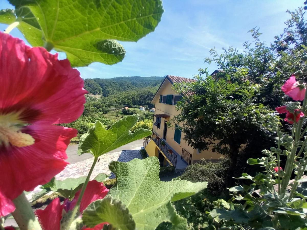 La Valle Fiorita Soviore Extérieur photo